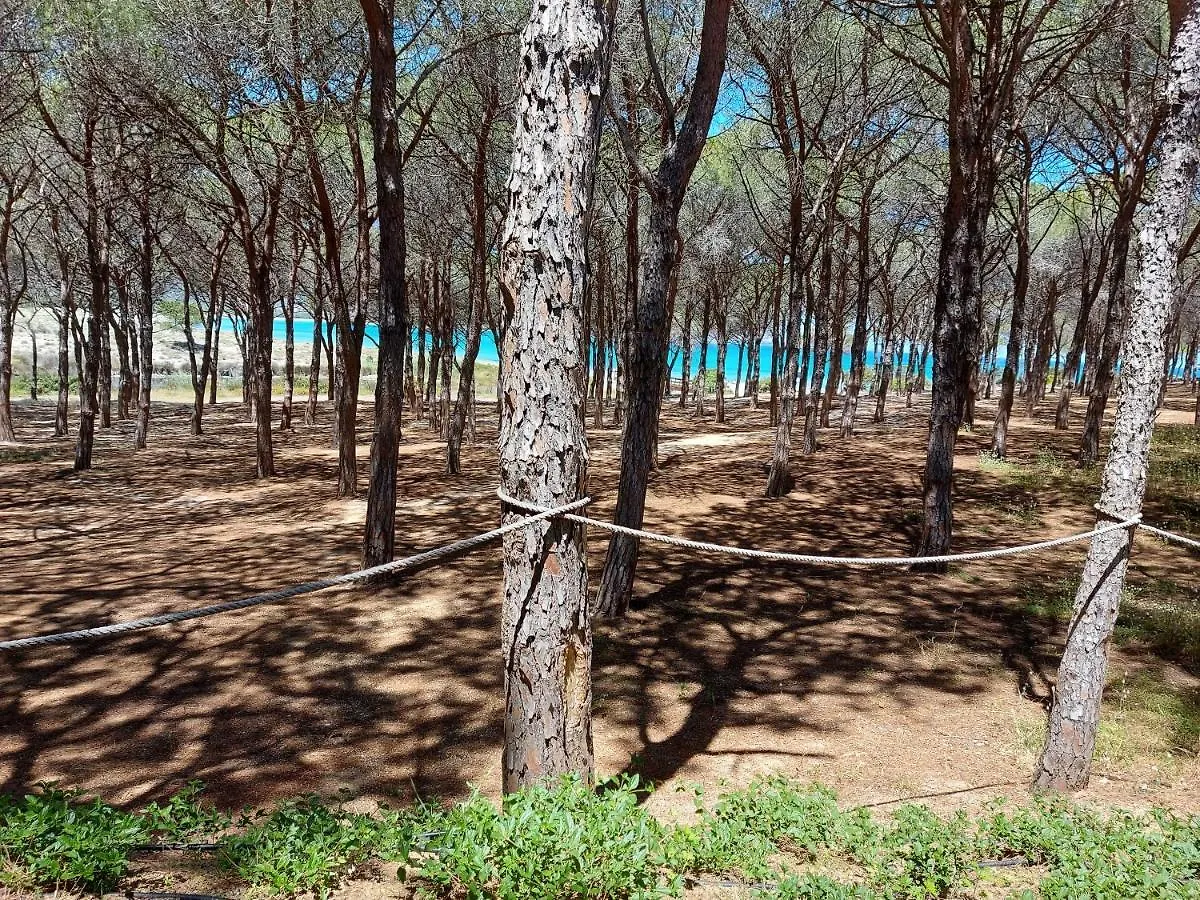 Gallura Dream Villas Budoni Prázdninový dům